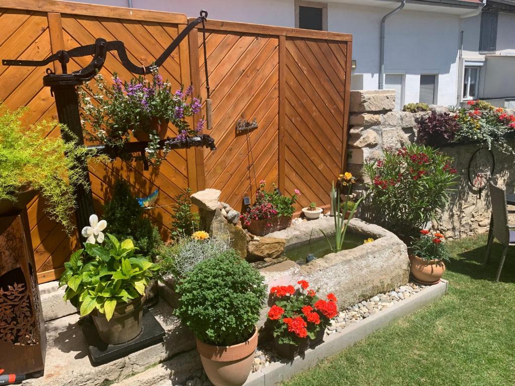 A garden outside Ferienwohnungen zum Briefmarkenhaus