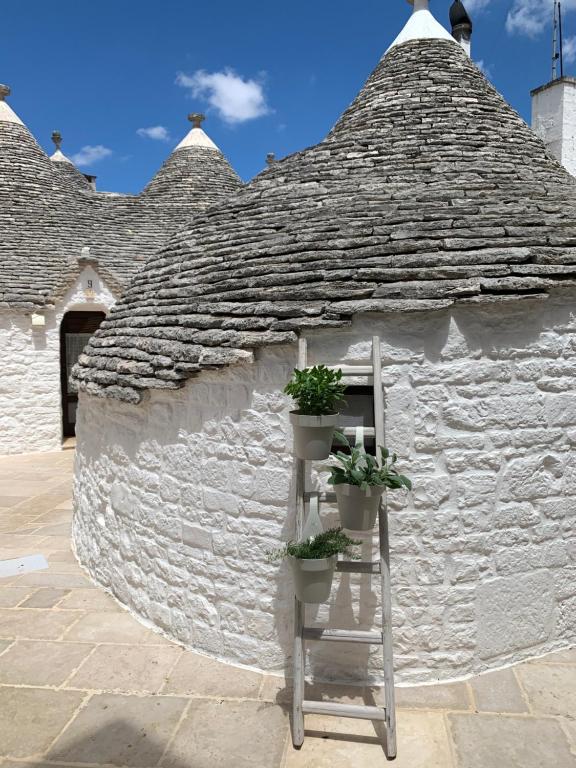 Kép Trulli Family - Trulli&Cummerse szállásáról Alberobellóban a galériában