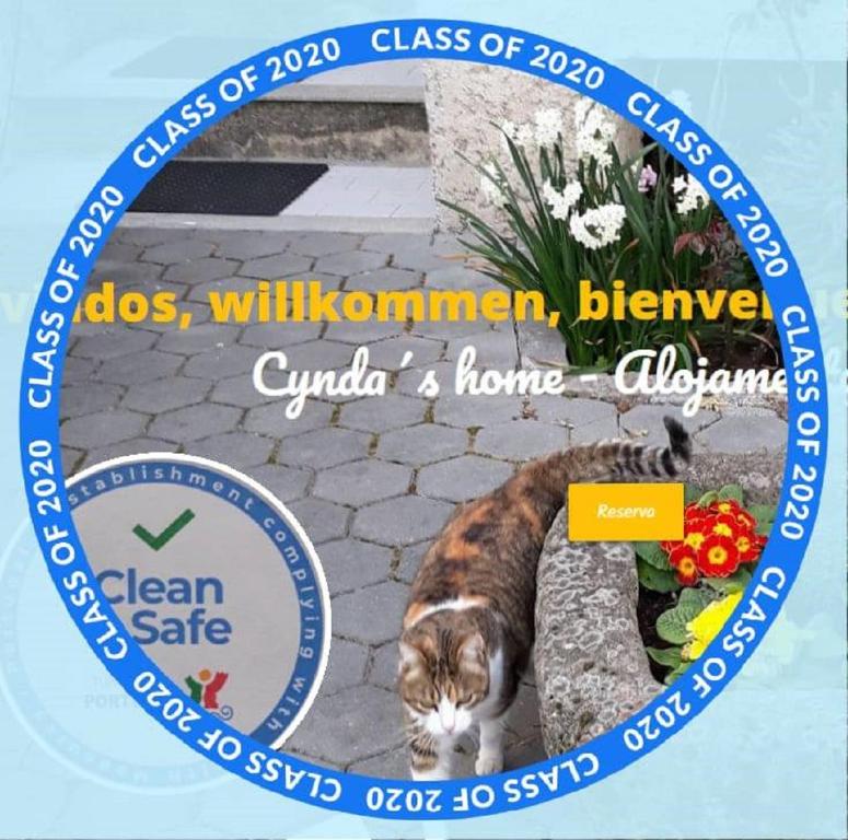 une étiquette avec un chat assis sur un mur de pierre dans l'établissement Cynda´s home, à Viseu