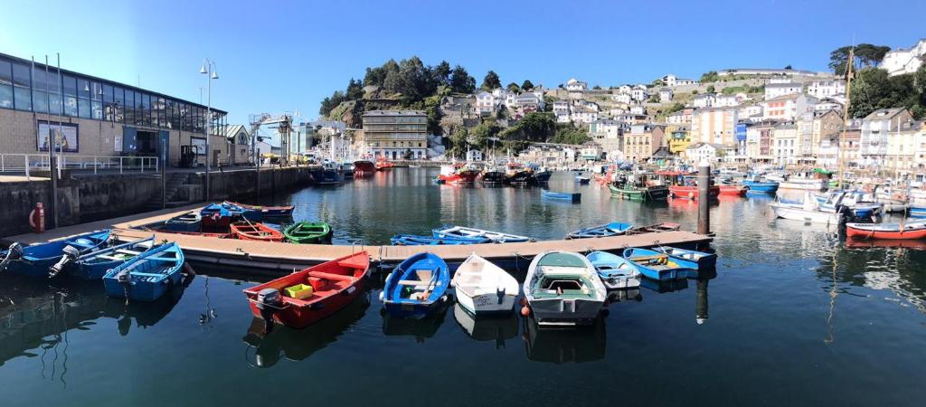 Eine Gruppe von Booten liegt in einem Hafen vor Anker. in der Unterkunft Hotel Baltico 2 estrellas in Luarca