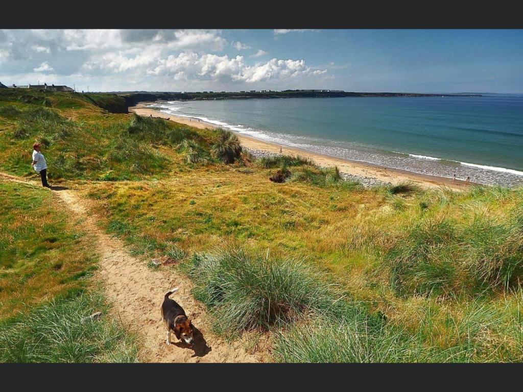 Barkers Accommodation