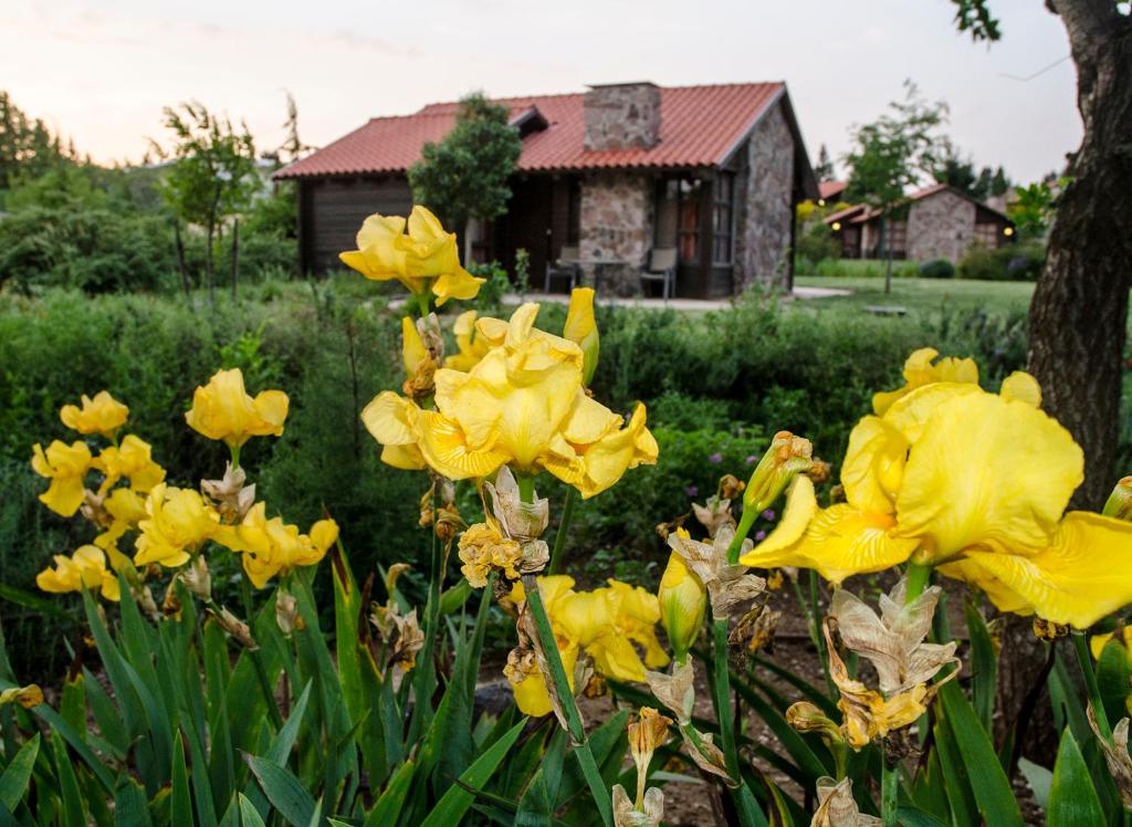 Merom Golan Resort - Chalet (2 Adults + 3 Children)