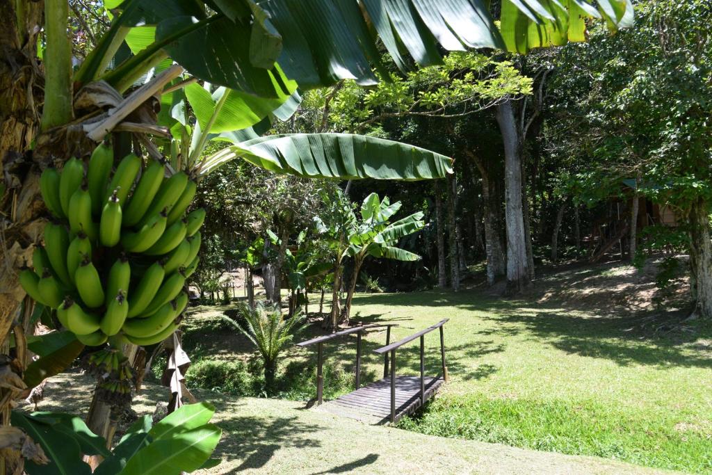 Um jardim em Pousada Sítio Olho D'Água