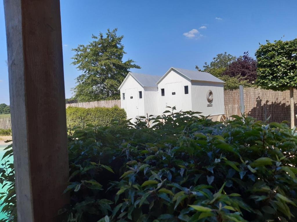 Zahrada ubytování Casa-Cosi, tourist & business suites & flats with reserved parking and private terraces in shared garden with seasonal pool included, private sauna available