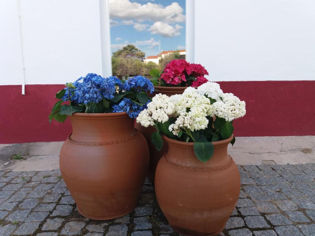 Fotografie z fotogalerie ubytování Terras de Monsaraz v destinaci Reguengos de Monsaraz