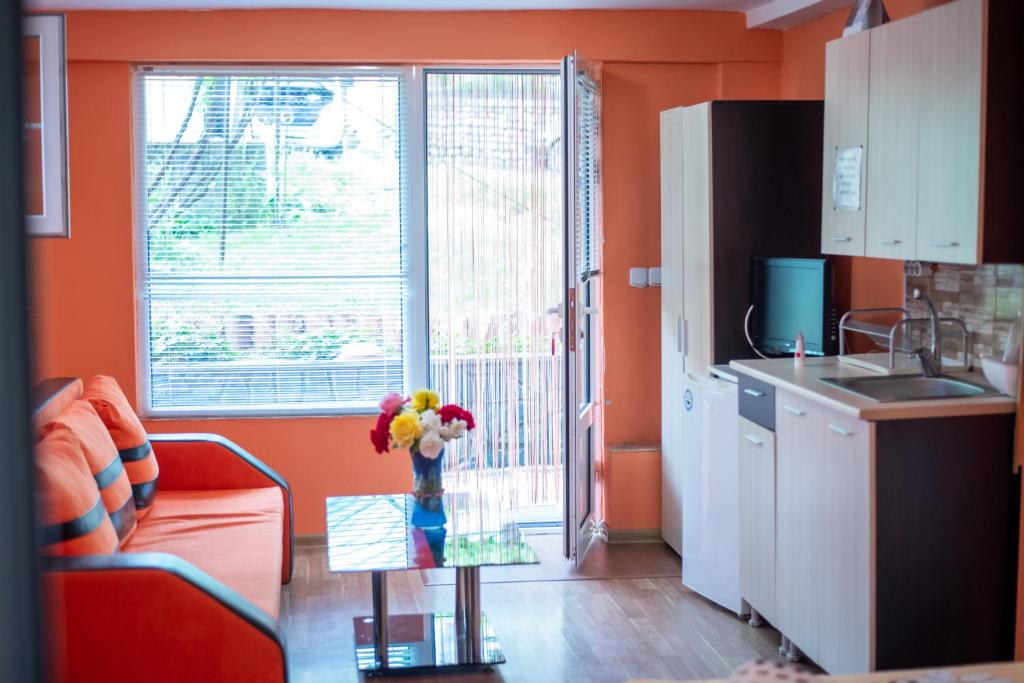 Η κουζίνα ή μικρή κουζίνα στο Danailovi Guest House