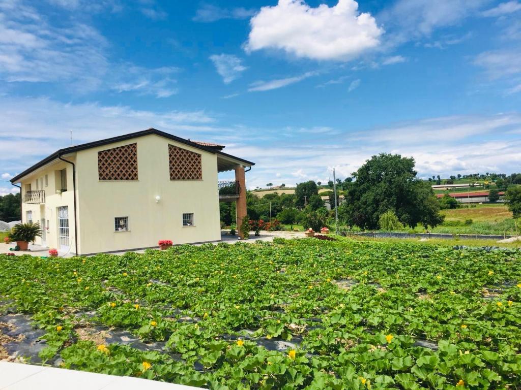 Zahrada ubytování Incanto del Garda