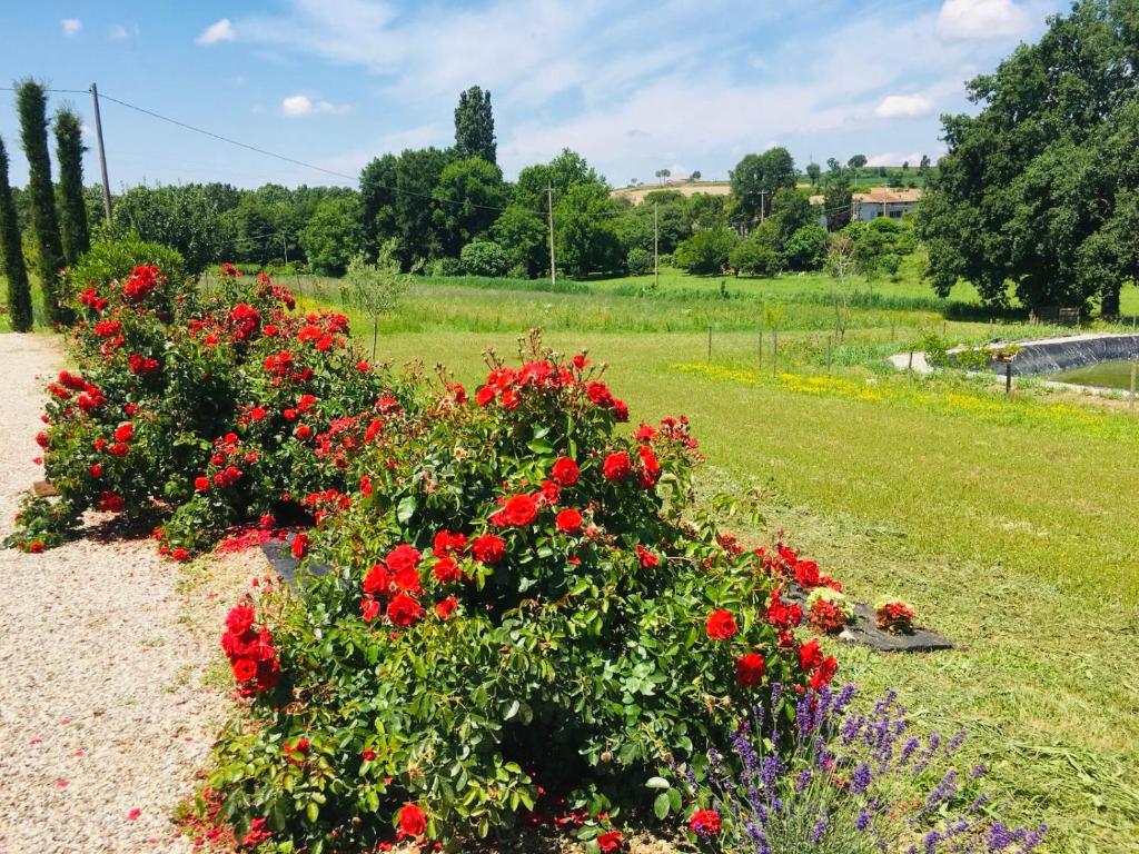 Zahrada ubytování Incanto del Garda