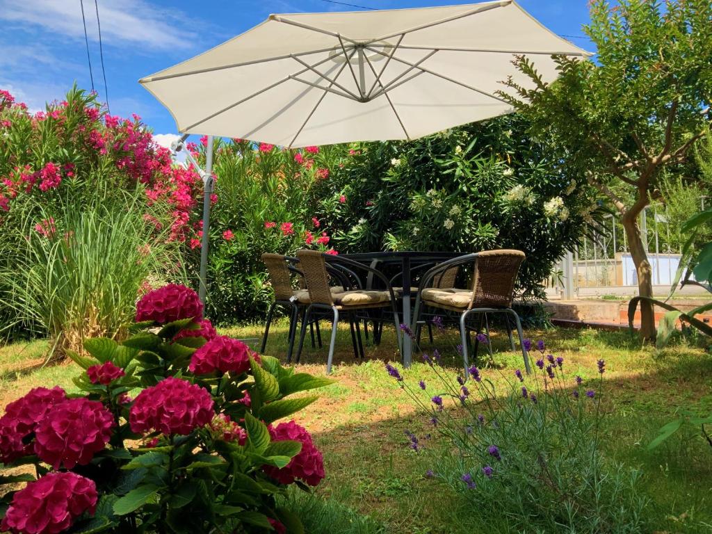 Zahrada ubytování Apartment Agava Istria - family vacation rental with free parking, garden, WiFi