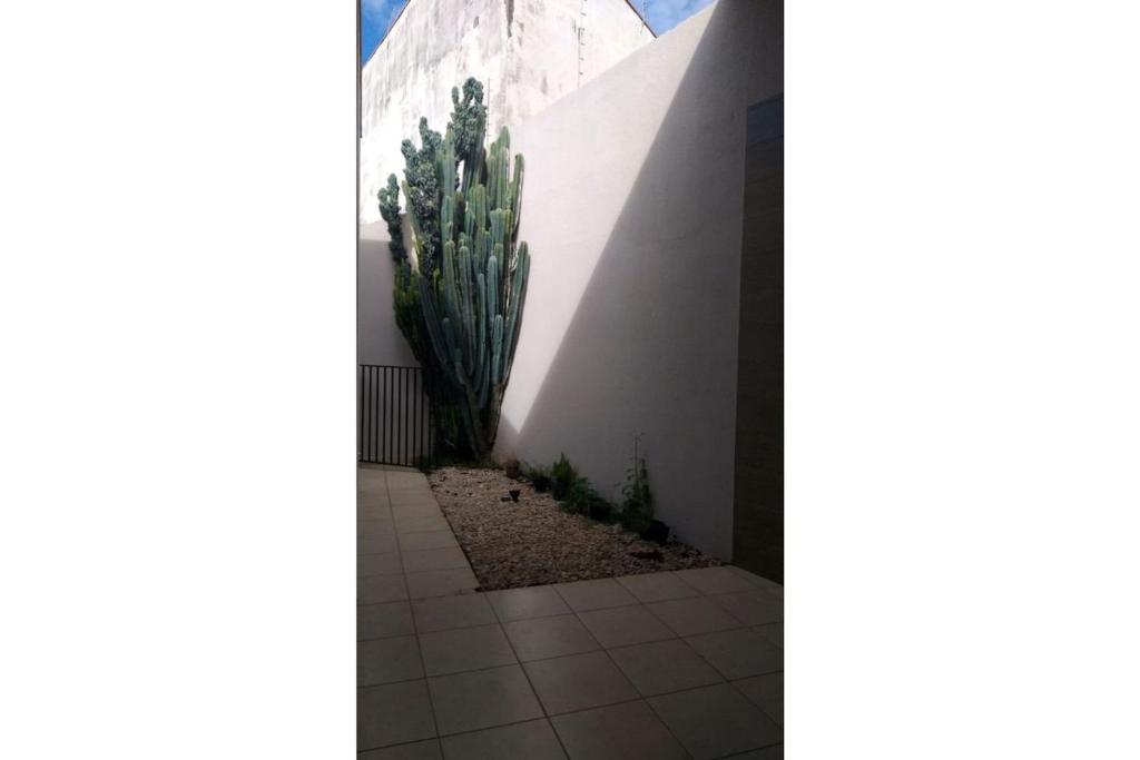  RESIDENCIA CIDADE VERDE 5