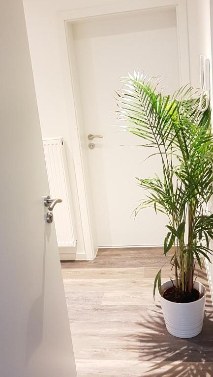 Ferienwohnungen Busch`s Gästehaus - Apartamento - Planta Baja