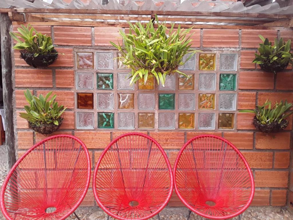 Fotografie z fotogalerie ubytování Hotel Kantarrana Urbana Jardin v destinaci Jardin