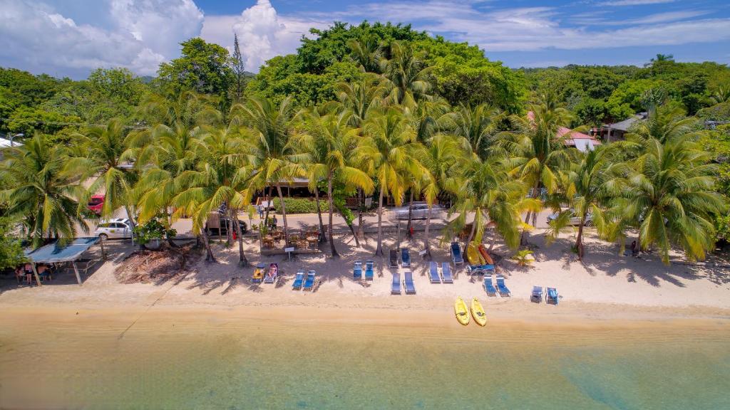 una vista aérea de una playa con palmeras en Hotel Posada Arco Iris en Roatan