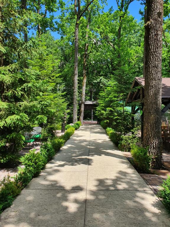 Hotel Cornul Vanatorului - Resim 17