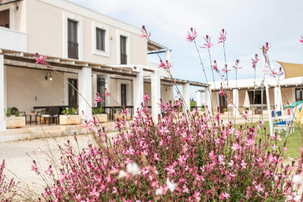 Ein paar rosa Blumen vor einem Gebäude in der Unterkunft Agriturismo "Lu Puzzu" in Torre Lapillo