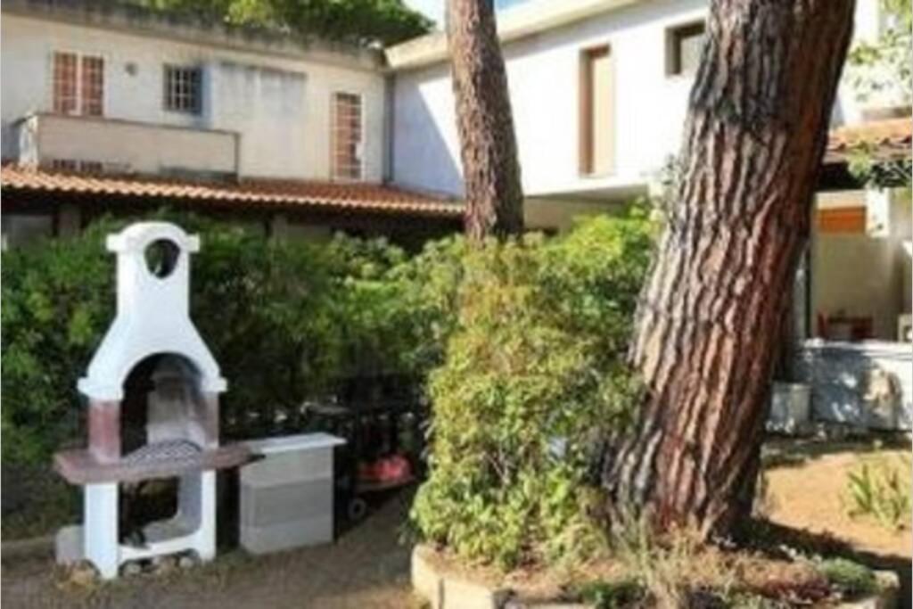 Zahrada ubytování Casa Barracuda 25