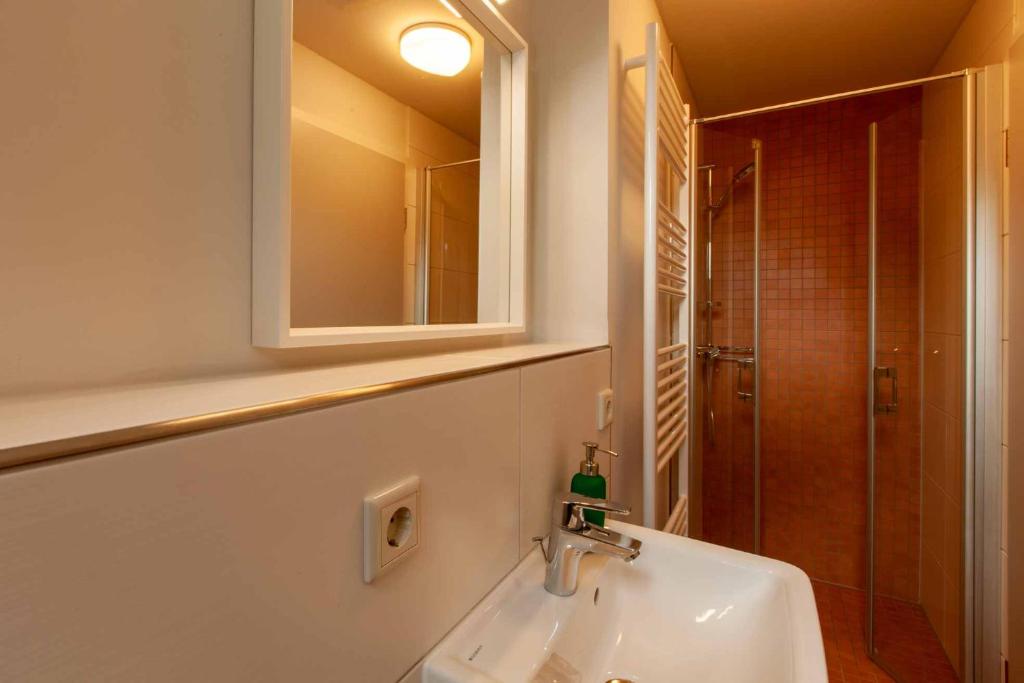 W łazience znajduje się umywalka, lustro i prysznic. w obiekcie Brand-Baude w mieście Hohnstein