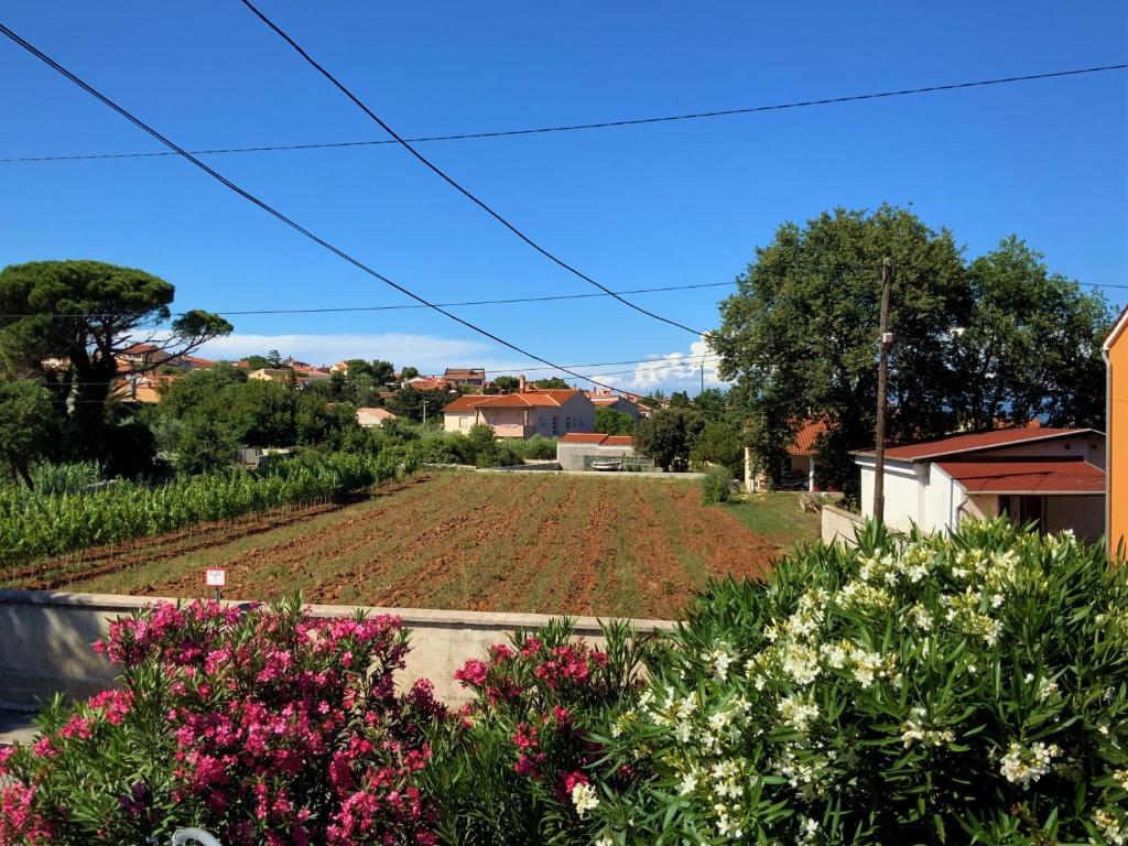 Zahrada ubytování Apartment Agava Istria - family vacation rental with free parking, garden, WiFi