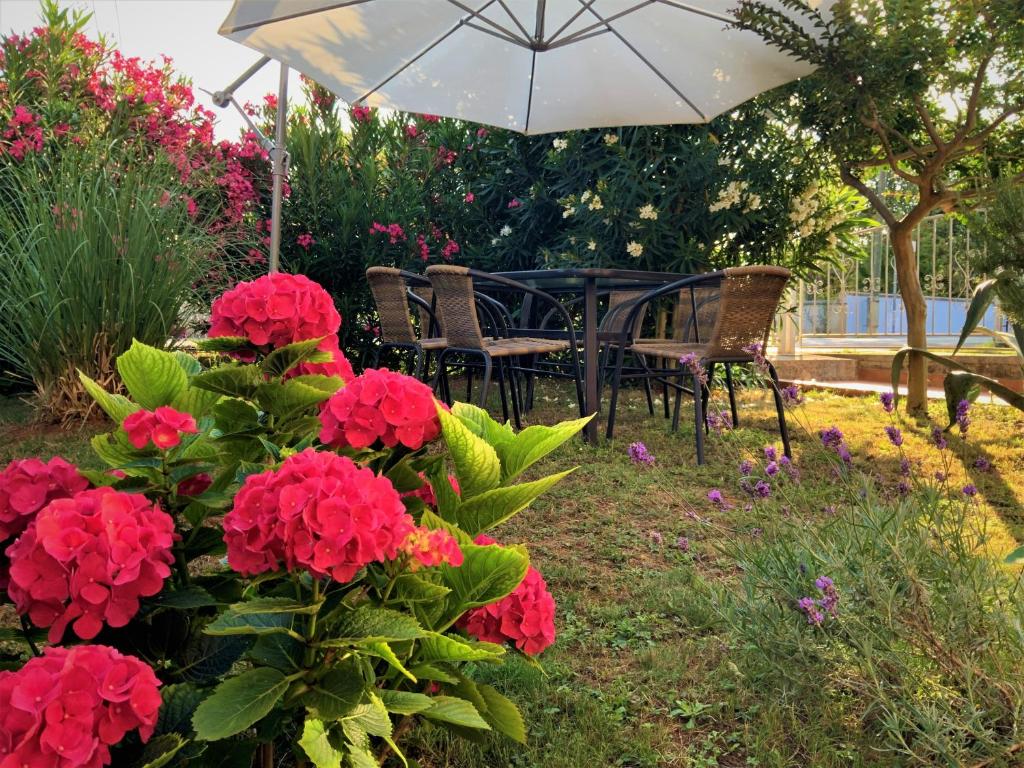 Zahrada ubytování Apartment Agava Istria - family vacation rental with free parking, garden, WiFi
