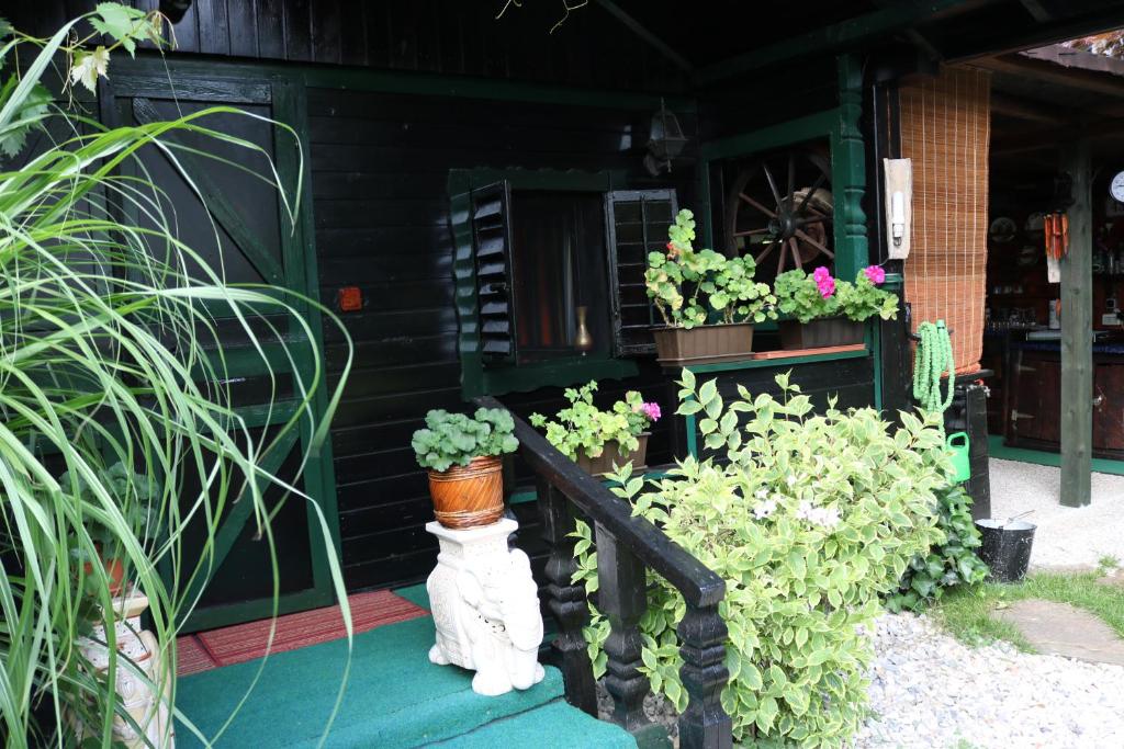 Zahrada ubytování Frenkcottage 5 KM FROM THE AIRPORT- FREE TRANSPORTATION