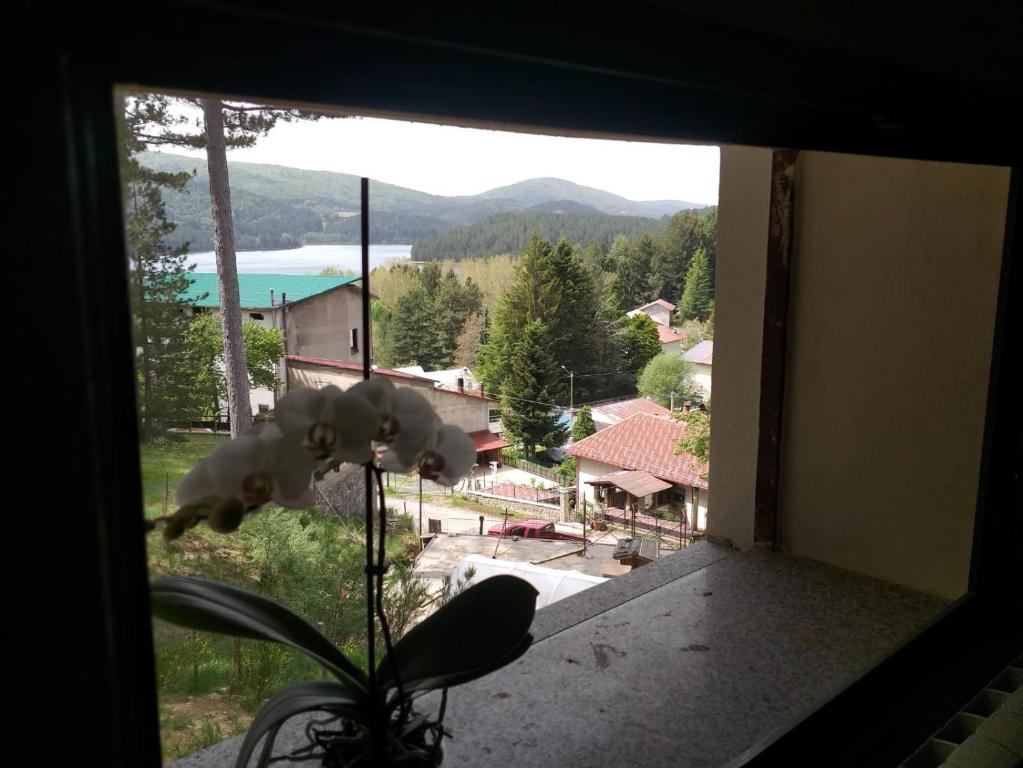 Dimora nel bosco - Vakantiehuis