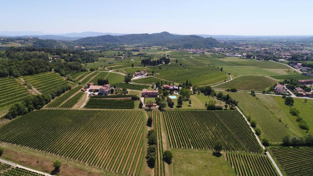 uma vista aérea de uma vinha com uma casa no meio em Tenuta Perusini em Corno di Rosazzo