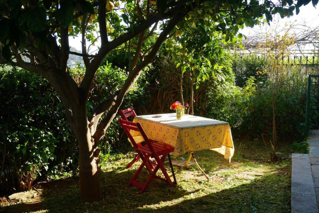 Zahrada ubytování Cosy guest house with private yard