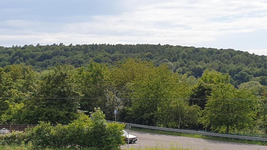 Příroda nedaleko hotelu