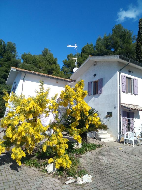Ancona – Foto 4