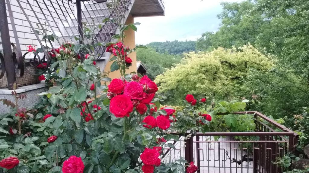 a bunch of red roses growing on a balcony at Apartmani Mali Raj Rudnik in Rudnik