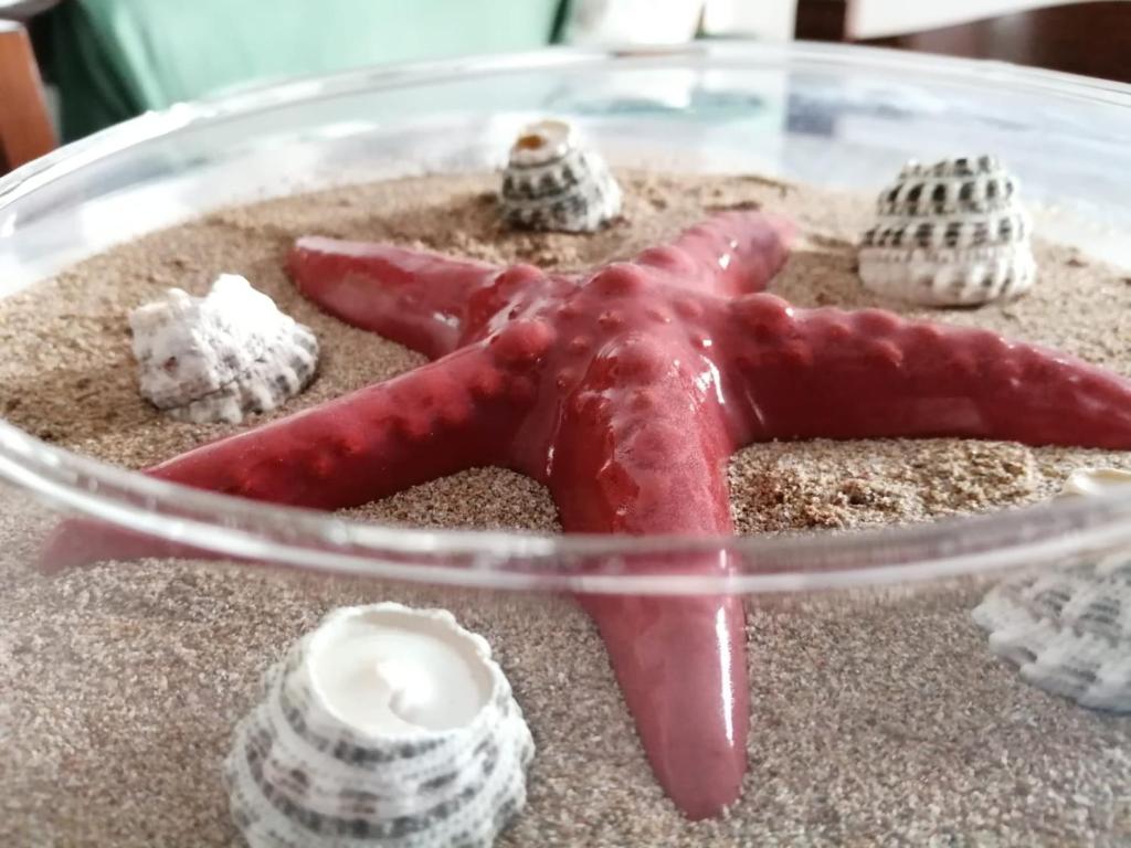 un tazón de cristal con una estrella de mar en la arena en Casa Amaranto, en Terrasini