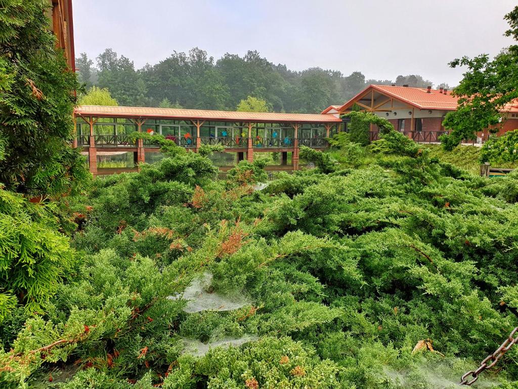 Stacja Nowa Gdynia Bed & Breakfast Aquapark - Resim 26