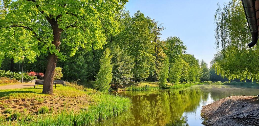 Stacja Nowa Gdynia Bed & Breakfast Aquapark - Resim 11