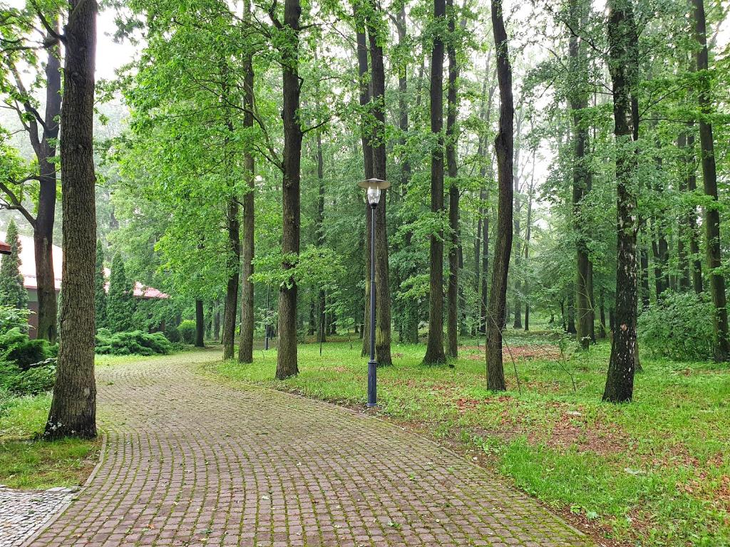 Stacja Nowa Gdynia Bed & Breakfast Aquapark - Resim 13