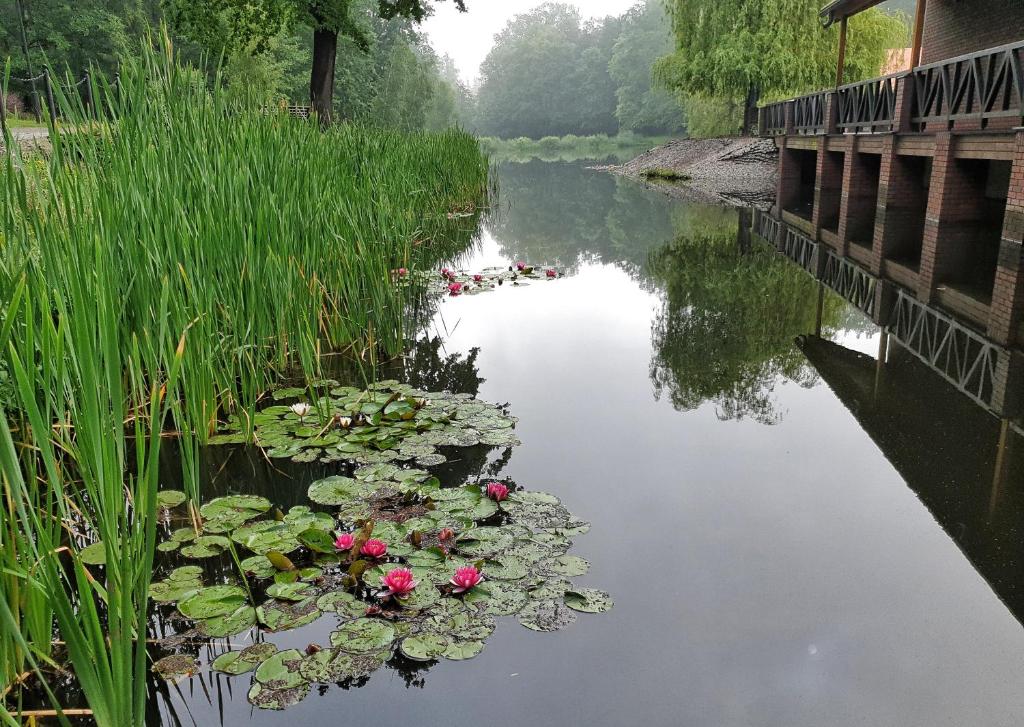 Stacja Nowa Gdynia Bed & Breakfast Aquapark - Resim 19