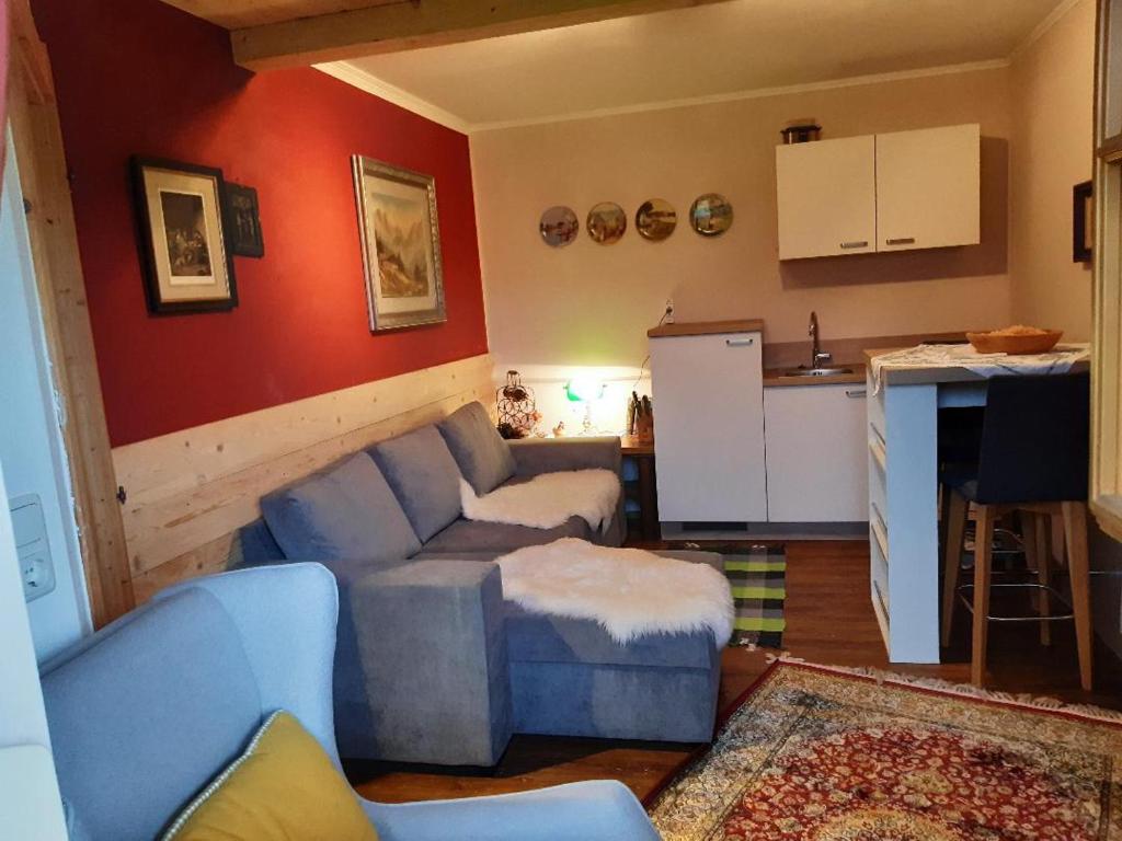 Kuchyň nebo kuchyňský kout v ubytování Alpenchalet