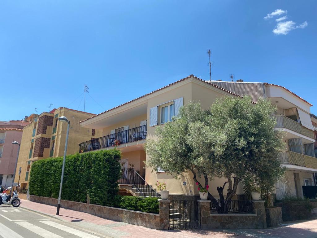 un edificio de apartamentos con un árbol delante en Casa Baba en Palamós