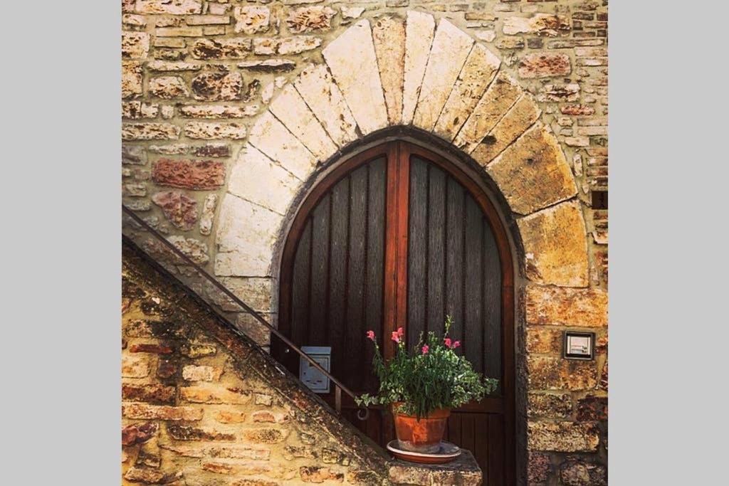 duże drzwi z rośliną przed nimi w obiekcie Assisi Anfiteatro Romano w Asyżu