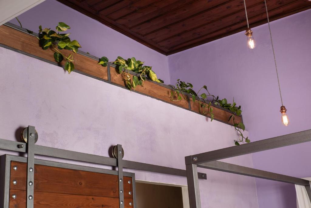 Favela Living Space - 18