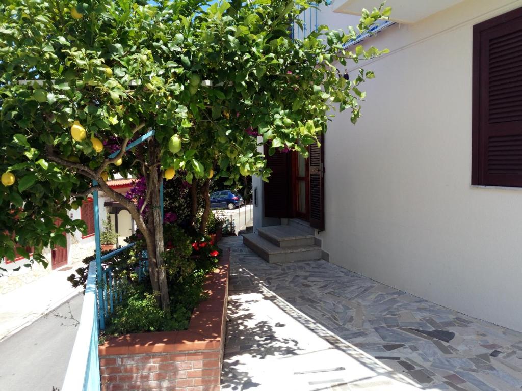 Foto dalla galleria di casa con piccolo giardino ad Agropoli