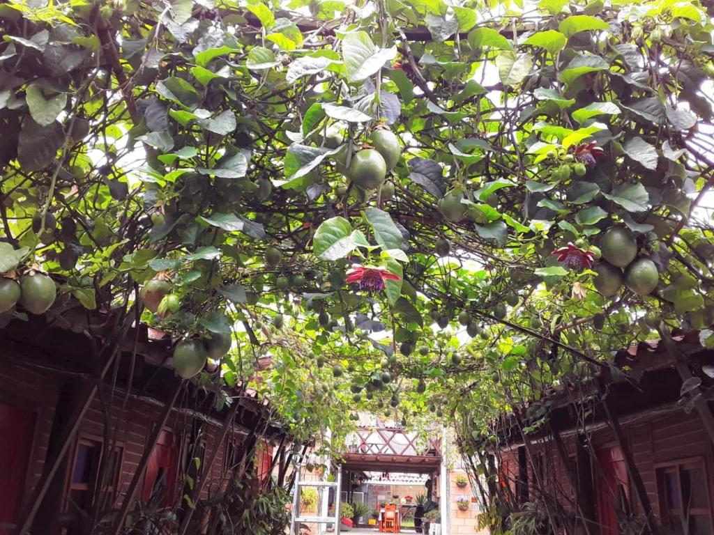 Zahrada ubytování Hotel Kantarrana Urbana Jardin