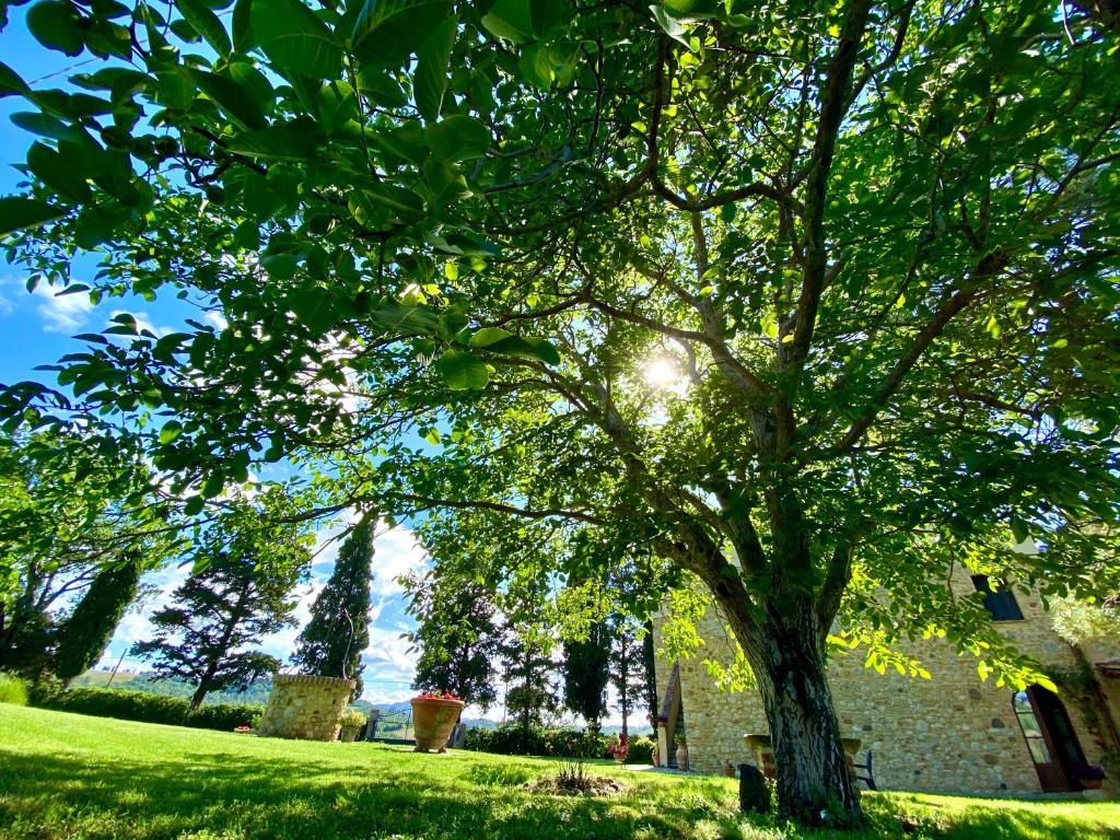 Zahrada ubytování Agriturismo L'Antica Quercia