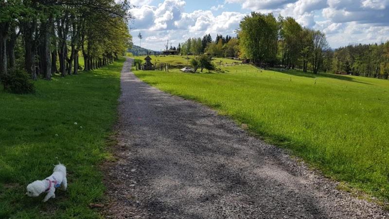 Příroda nedaleko apartmánu