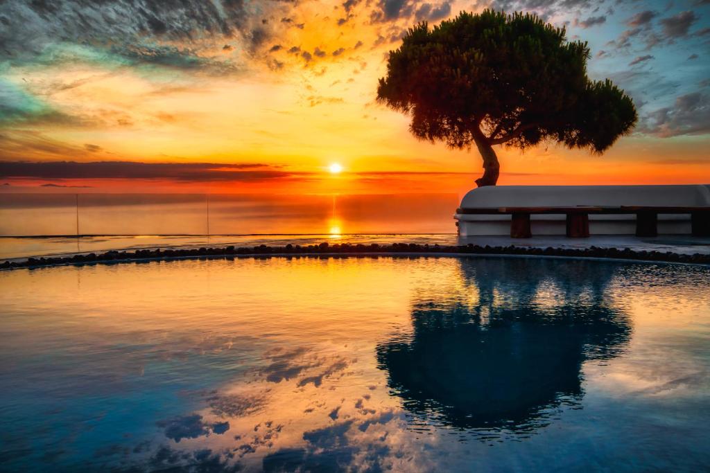 a tree and a pool with a sunset in the background at San Marino Suites by Calm Collection in Fira