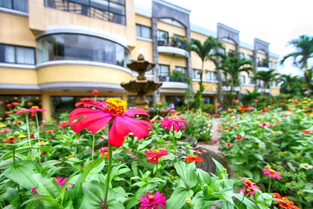 Zahrada ubytování Hotel Fleuris