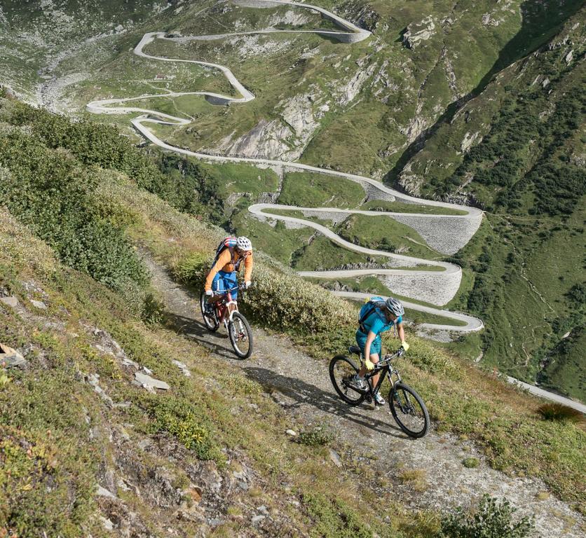 Jízda na kole v ubytování Mountain View nebo okolí