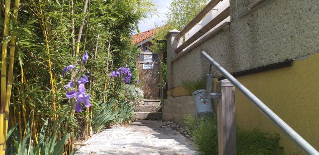 A garden outside Ferienwohnung Wiesmühlstrasse