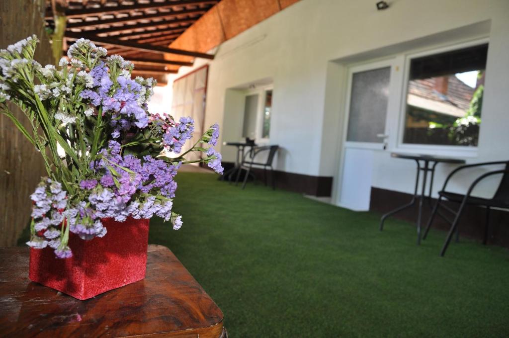 Fotografie z fotogalerie ubytování Rooms Maša v destinaci Palić