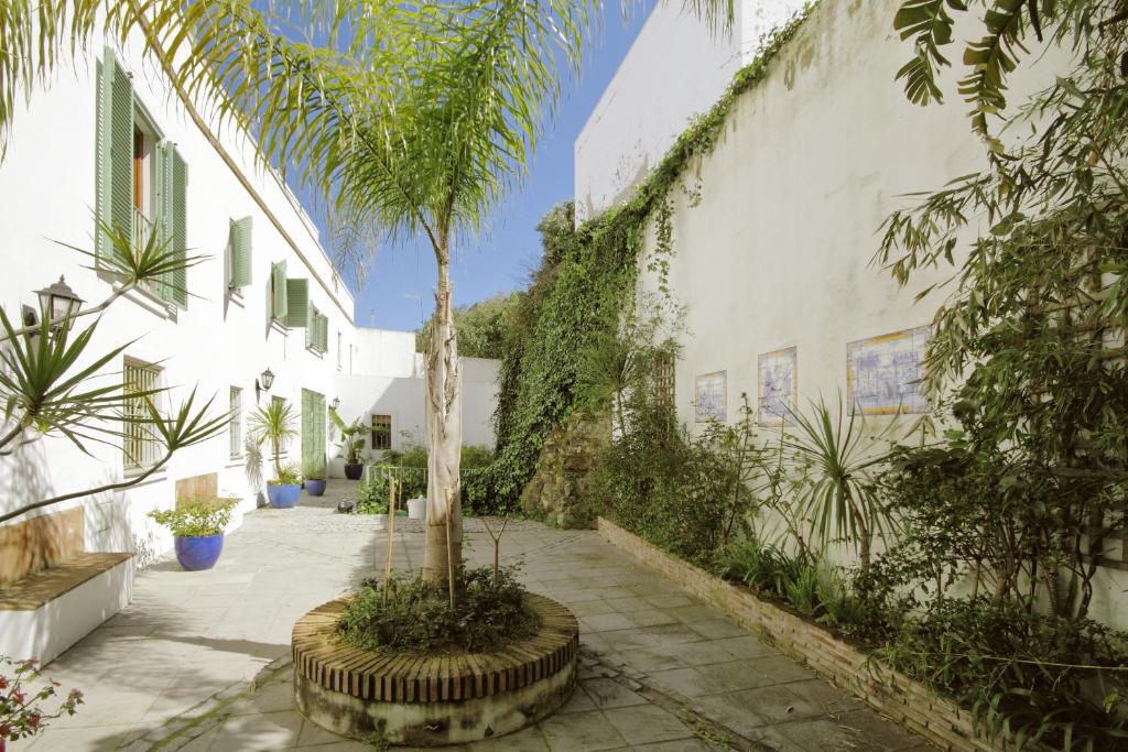 a courtyard with a palm tree in a building at Apartamentos Gravina in Tarifa
