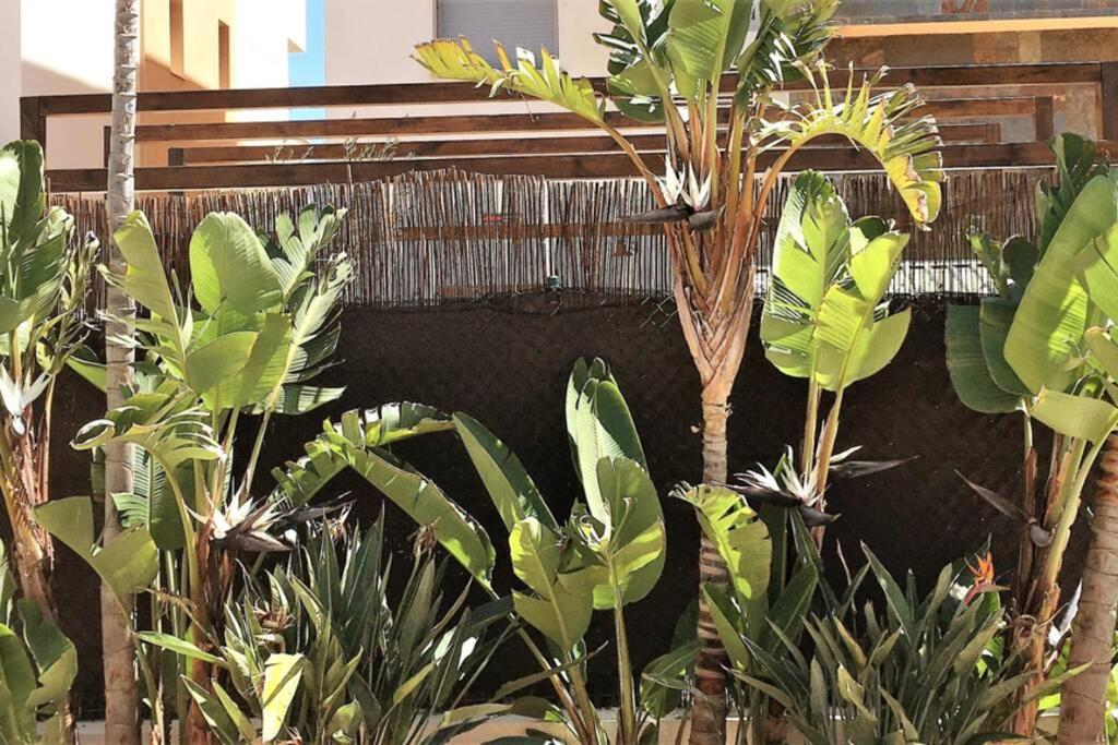 Chill out ground floor apartm +private garden+WIFI, Retamar ...